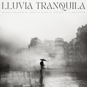 Lluvia Tranquila: Música Relajante Para Aliviar El Estrés Y La Ansiedad - Sonidos de lluvia y naturaleza