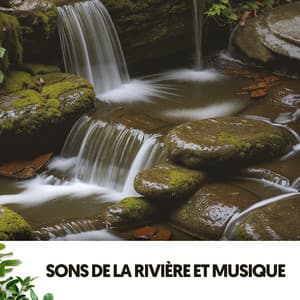 Sons de la Rivière et Musique : Éblouissement Serein - Ruido Blanco Hart