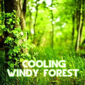 Cooling Windy Forest - Wind Sounds