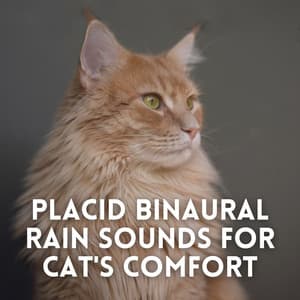 Placid Binaural Rain Sounds for Cat's Comfort - The Entrainment