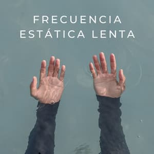 Frecuencia Estática Lenta - Silenciador de Ruido