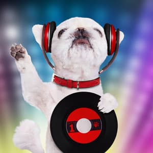 Ambient Music Serenades: Serenity's Pet Zen - Zen Sounds