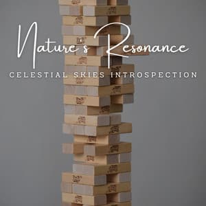 Tranquil Piano Focus: Nature's Resonance - Nature Sounds With Music