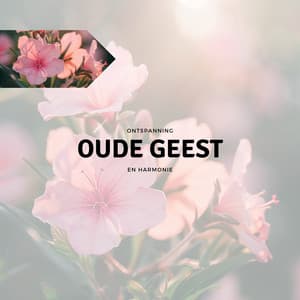 Oude Geest - Ontspanning en Harmonie