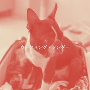 ウーフィング・ワンダー - Instrumental Soft Jazz