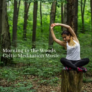 Morning in the Woods: Celtic Meditation Music, Rainforest Spiritual Ambient for Sleep Hypnosis - Irish Celtic Spirit of Relaxation Academy