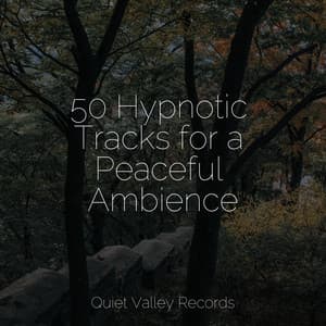 50 Hypnotic Tracks for a Peaceful Ambience - Yoga Trainer
