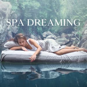Spa Dreaming: Rain Noise for Sleep, Deep and Calm Music for Insomnia Relief - Relaxing Zen Music Therapy
