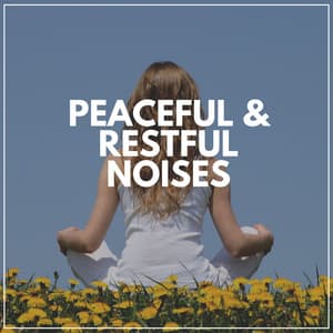 Peaceful & Restful Noises - Background Ambiances