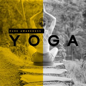 Pure Awareness Yoga: Revitalize Your Body & Mind, Yoga Music with Healing Sounds of Nature - Namaste Yoga Academy
