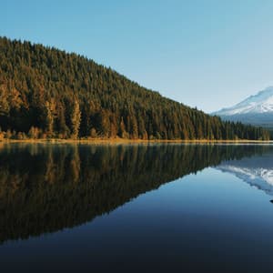 50 Meditation Sounds for Deep Sleep - ASMR Sleep Sounds