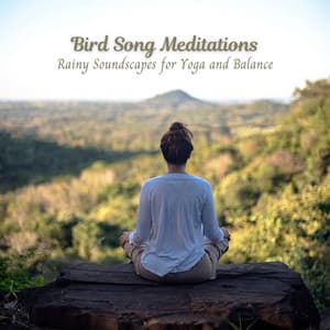 Bird Song Meditations: Rainy Soundscapes for Yoga and Balance - The Rain Sounds Nature Experts