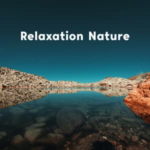 Harmony Soothing Airflow - Ele Prashna