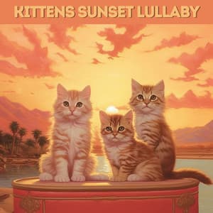 Kittens Sunset Lullaby - Cats Music Zone