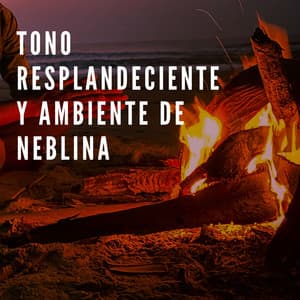 Tono Resplandeciente Y Ambiente De Neblina - Sonido de lluvia