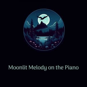 Moonlit Melody on the Piano - Night Ambience Lovers