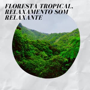 Floresta Tropical, Relaxamento Som Relaxante - Floresta Tropical