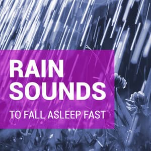 Rain Sounds to Fall Asleep Fast - Rain Sounds
