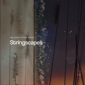 Stringscapes - Relaxing Guitar Music