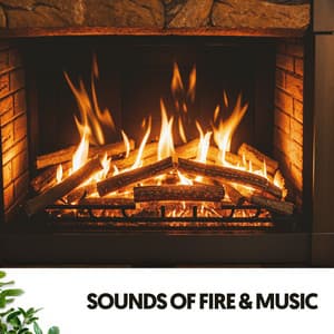 Sounds of Fire & Music: Igniting the Soul through Melodies - Relajacion