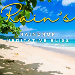 Raindrop Meditative Bliss - Danny Rainsounds