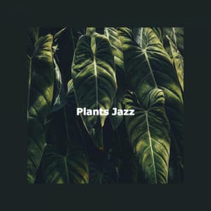 Plants Jazz - Musique de Restaurant