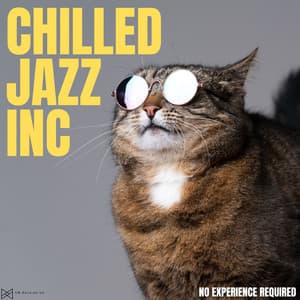 No Experience Required - Chilled Jazz Inc
