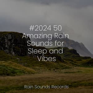 #2024 50 Amazing Rain Sounds for Sleep and Vibes - Calming Waves
