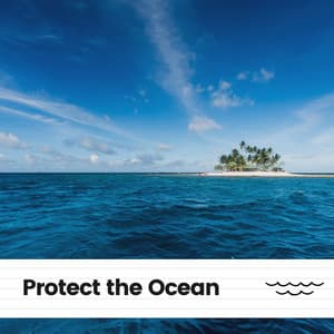 Protect the Ocean - Dreamstatician