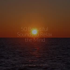 50 Beautiful Sounds to Relax the Mind - Shakuhachi Sakano