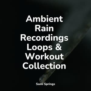 Ambient Rain Recordings Loops & Workout Collection - Oceanic Yoga Pros