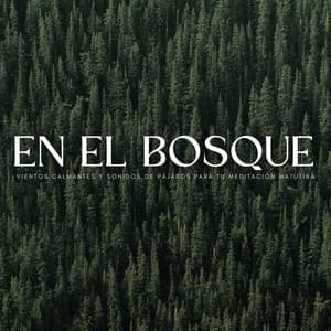 En El Bosque: Vientos Calmantes Y Sonidos De Pájaros Para Tu Meditación Matutina - Naturalis