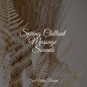 Spring Chillout Massage Sounds - Shakuhachi Sakano