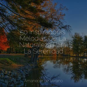 50 Inspiradoras Melodías De La Naturaleza Para La Serenidad - Meditación Maestro