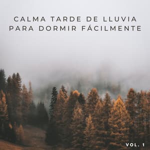 Calma Tarde De Lluvia Para Dormir Fácilmente Vol. 1 - Orquesta de las Naturalezas