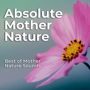 Absolute Mother Nature - Best of Mother Nature Sounds