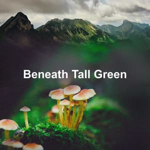 Beneath Tall Green - The Outdoor Library