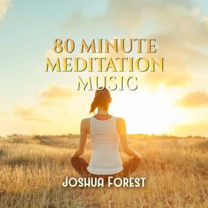 80 Minute Meditation Music - Joshua Forest
