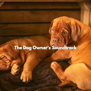 The Dog Owner's Soundtrack - Dog Music Radio