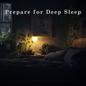 Prepare for Deep Sleep - Relaxing BGM Project