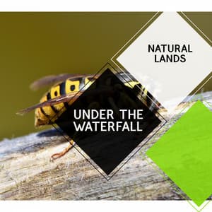Under the Waterfall - Natural Lands - Sleepy Times