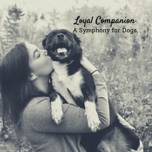 Loyal Companion: A Symphony for Dogs - Dog Music Library