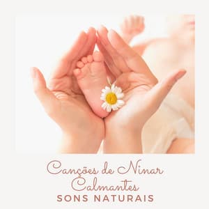 Canções de Ninar Calmantes: Sons Naturais Calmantes para o Bebê Recém-nascido Dormir - Música Mágica para Bebês de Sono