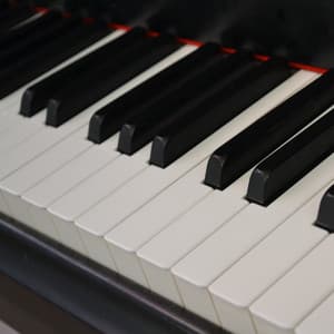 Dancing with Autumn's Breeze - Arctic Comfort