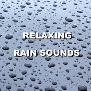 Relaxing Rain Sounds - Wind and Rain Sounds