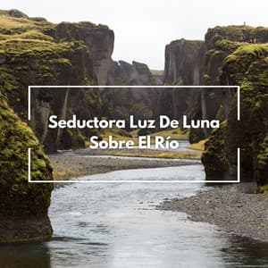 Seductora Luz De Luna Sobre El Río - Sonidos de agua dulce para la paz interior