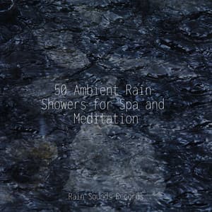 50 Ambient Rain Showers for Spa and Meditation - Weather Factory