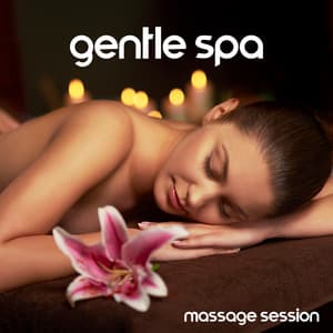 Gentle Spa Massage Session - Spiritual Momentum