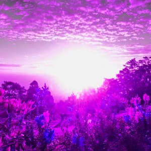 Feelings for Slow Commute - Chill Jazz-Lounge