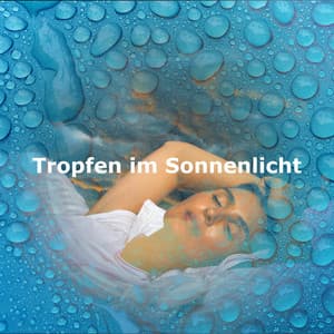 Tropfen im Sonnenlicht - Regen Vögel